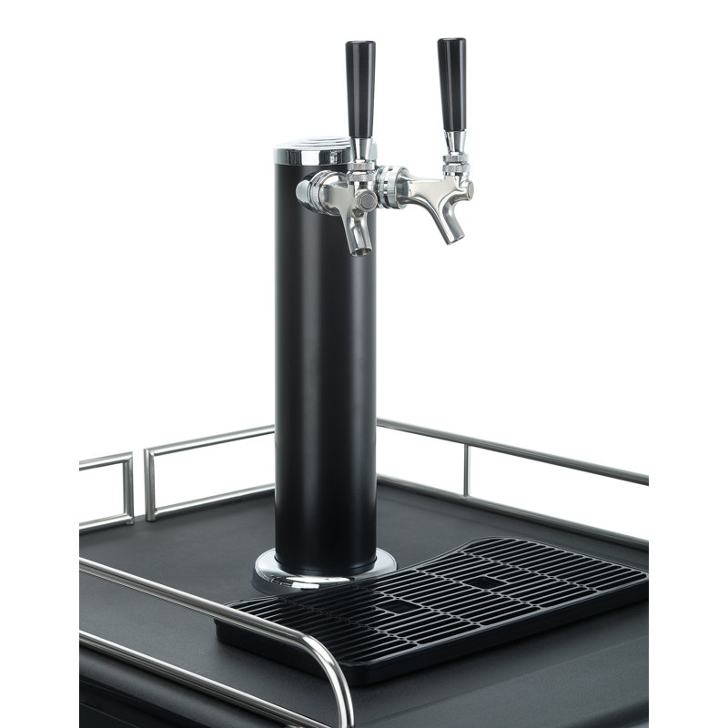 Danby Entertainer 5.4 Cubic Feet Stainless Steel Dual Tap Freestanding
